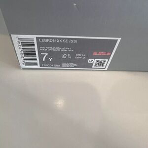 Lebron XX SE Vivid Purple Shoes